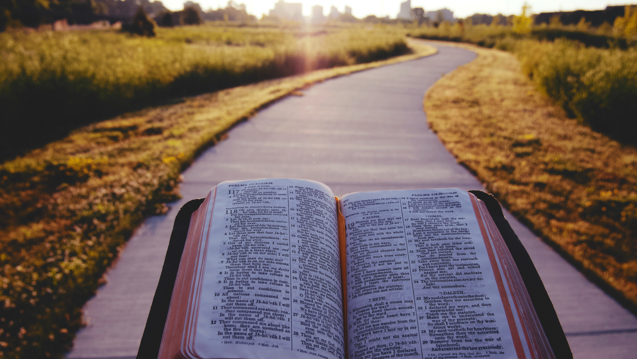 Bible-Path